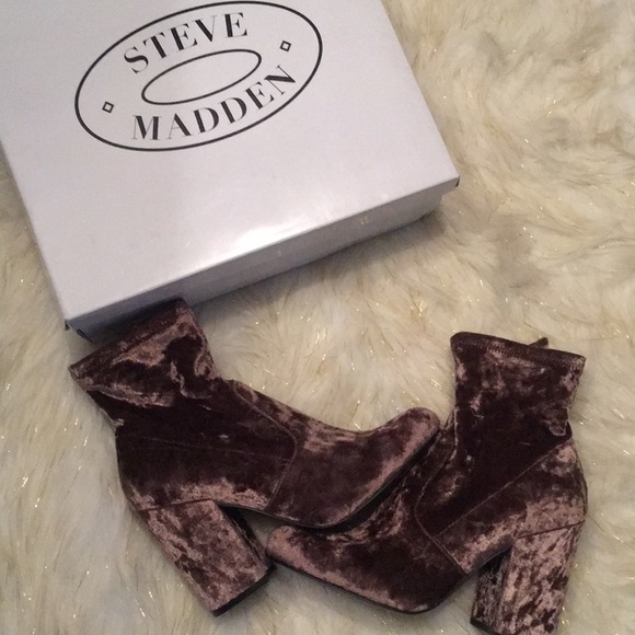 steve madden natalia bootie